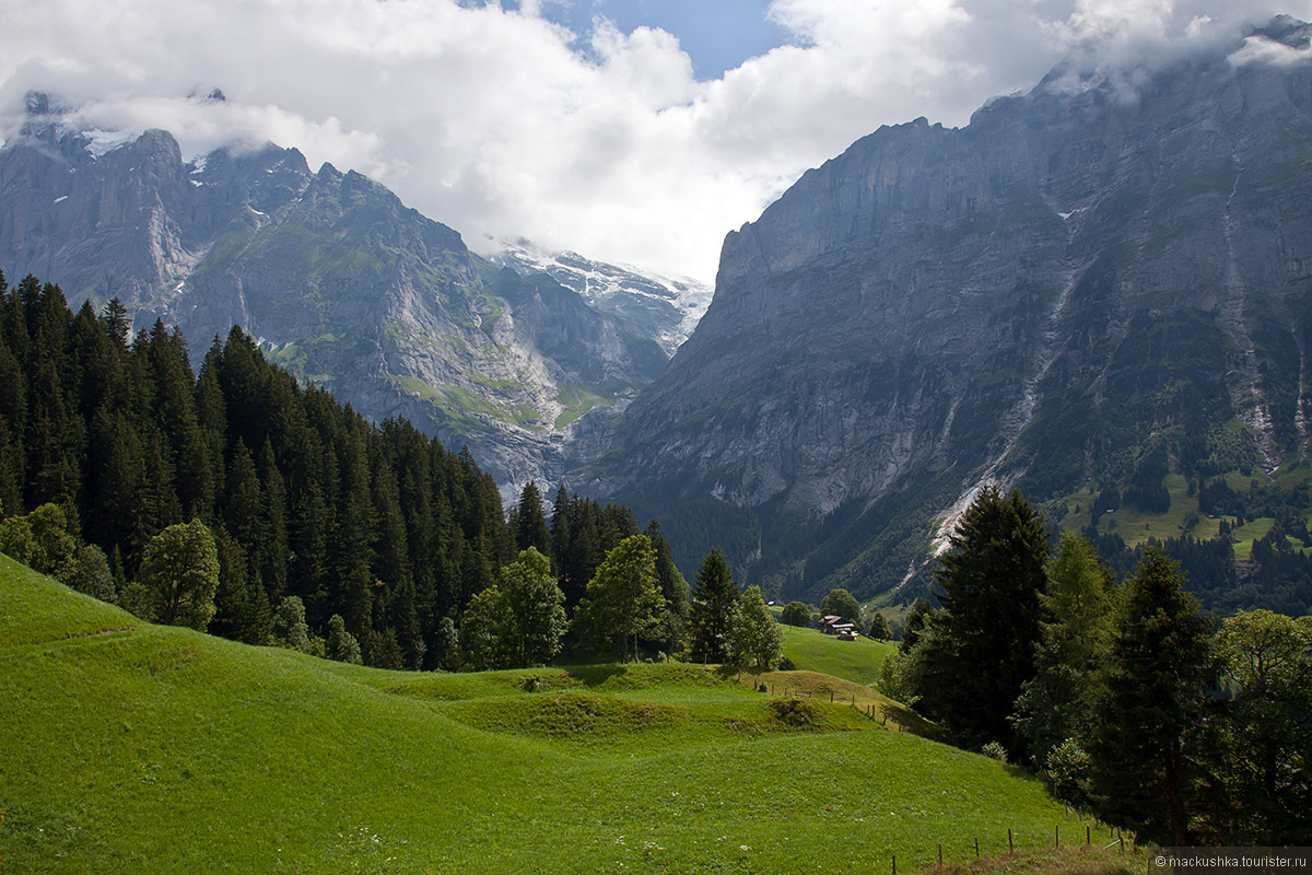 First, Grindelwald